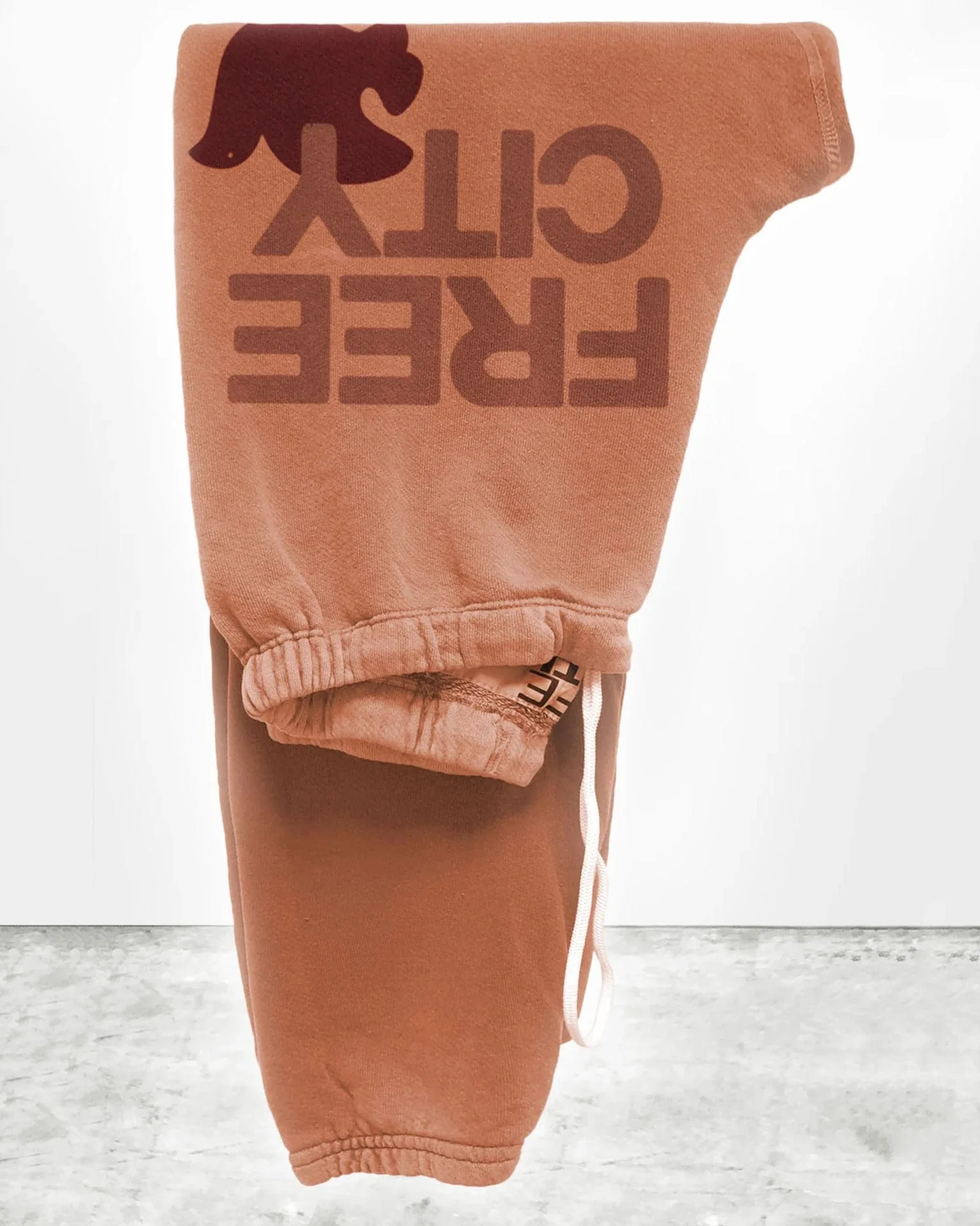 FC Large Sweatpant in Canyon - Image 2