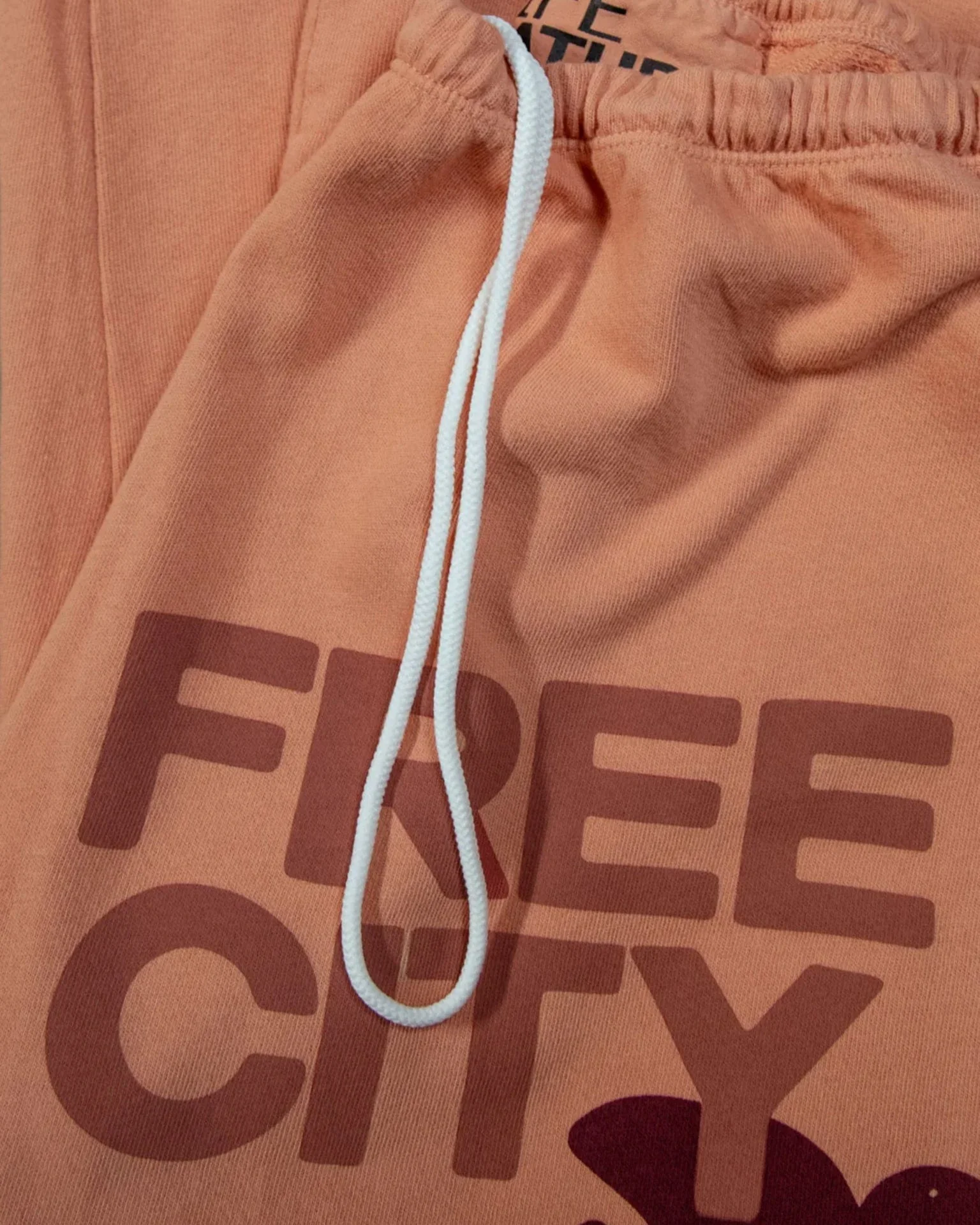 FC Large Sweatpant in Canyon - Image 3