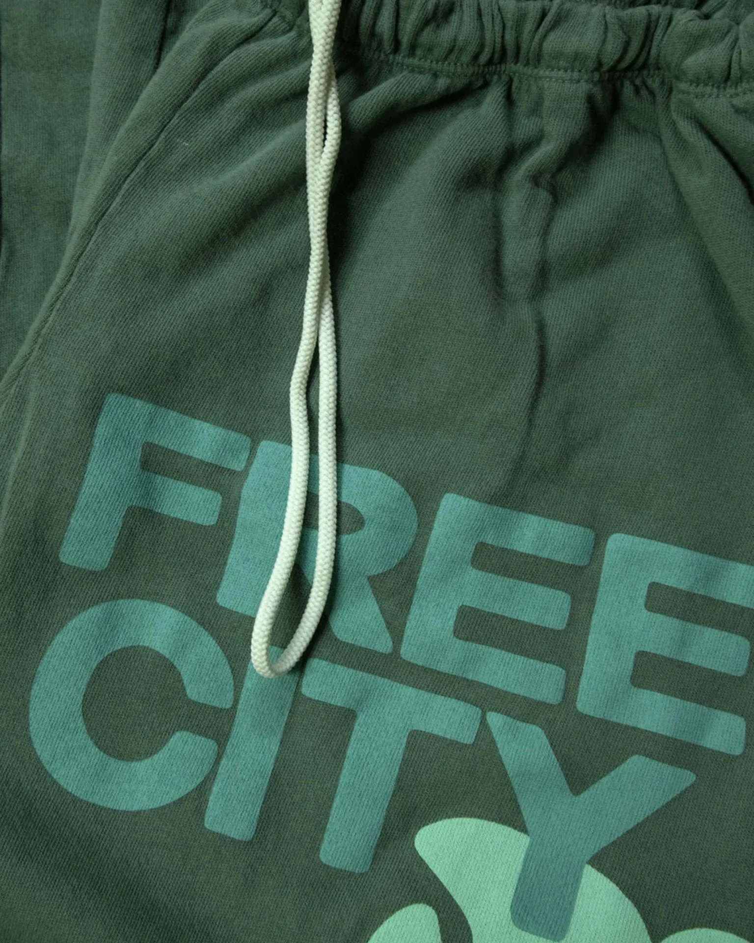 FC Large Sweatpant in Eatgreen - Image 2