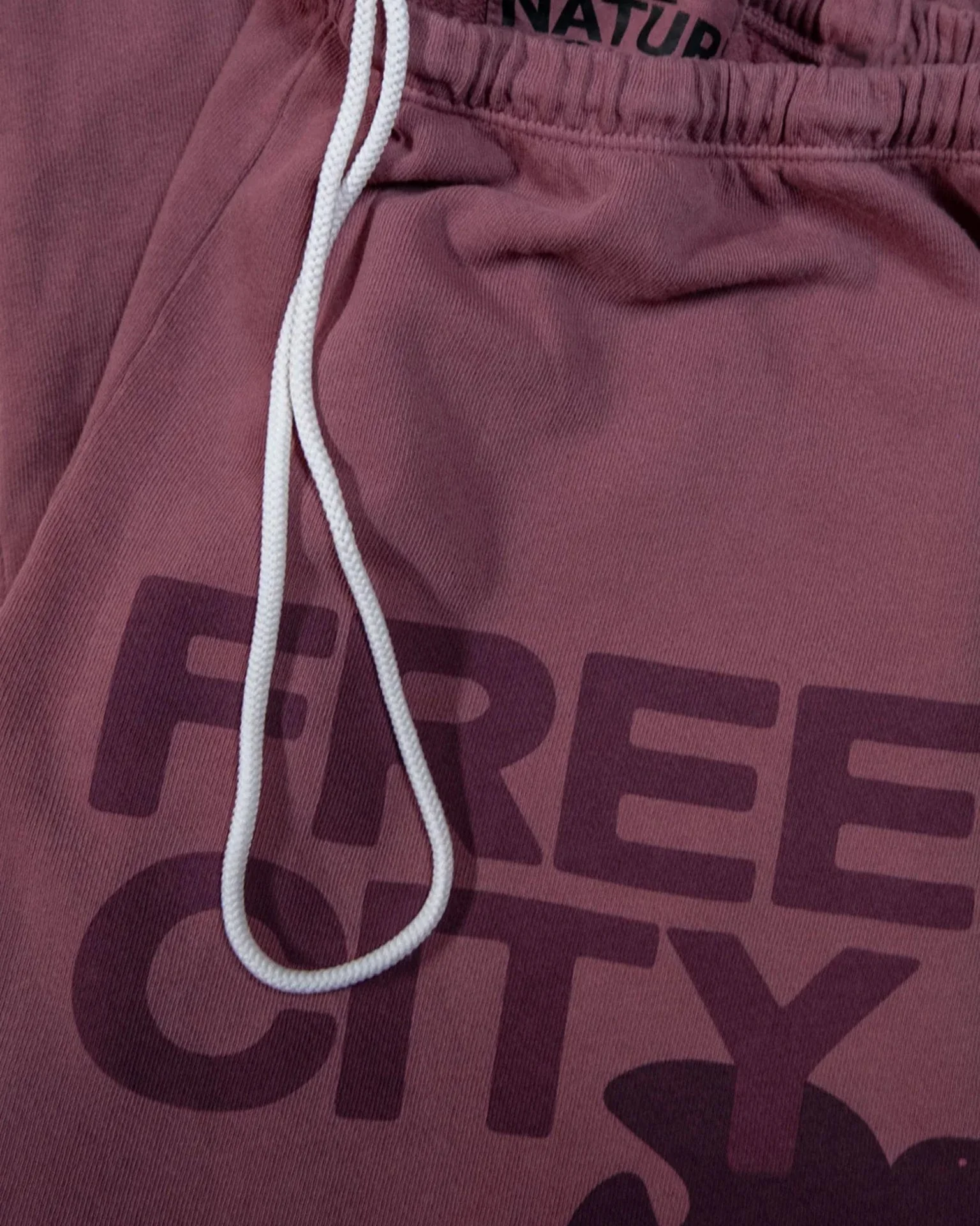 FC Large Sweatpant in Roses - Image 2
