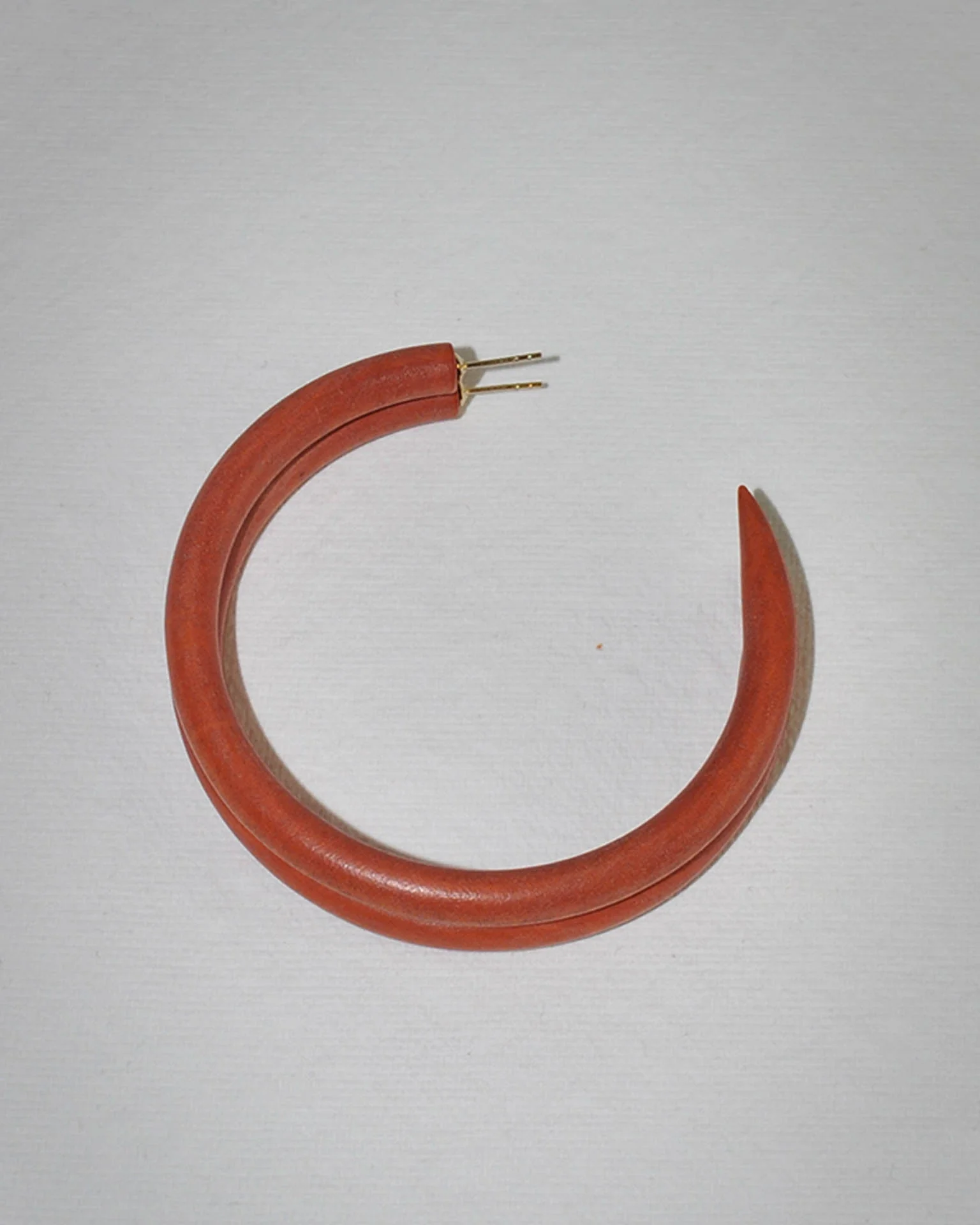 Large Hoop in Frank