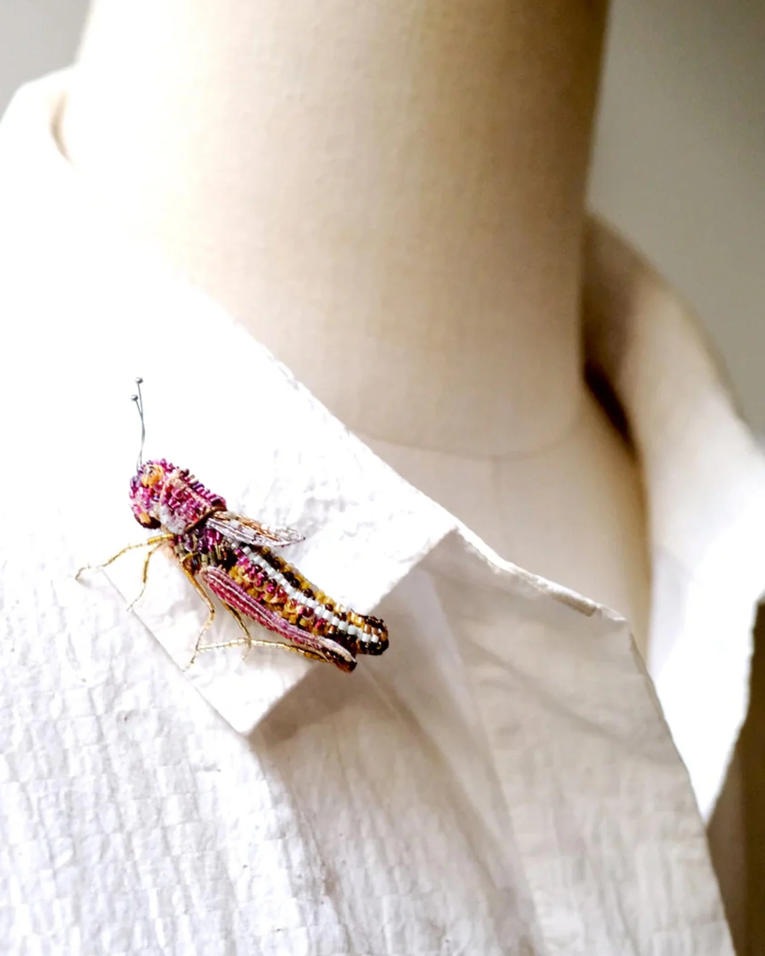 Meadow Grasshopper Brooch Pin - Image 2