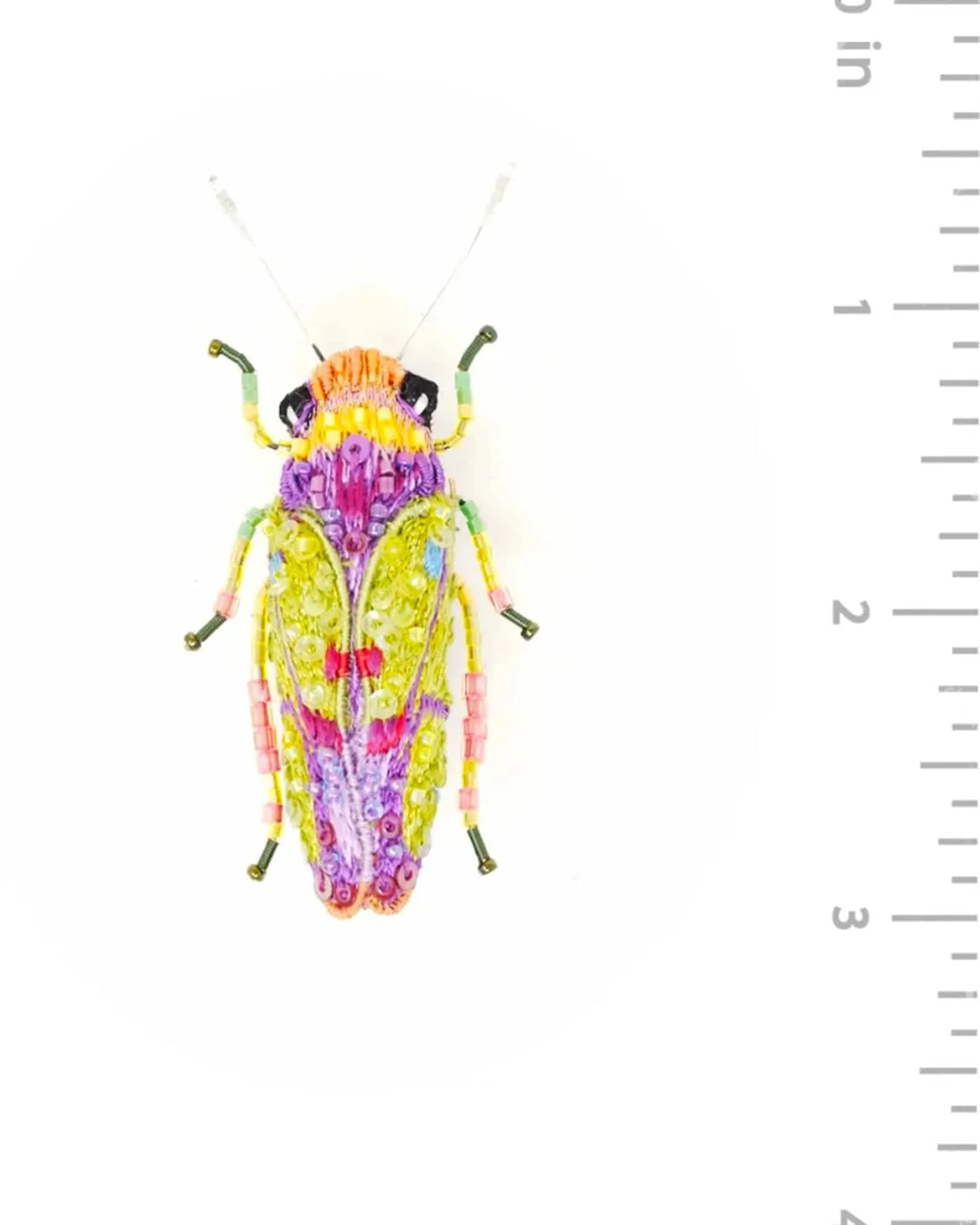 Sharpshooter Beetle Brooch Pin - Image 2