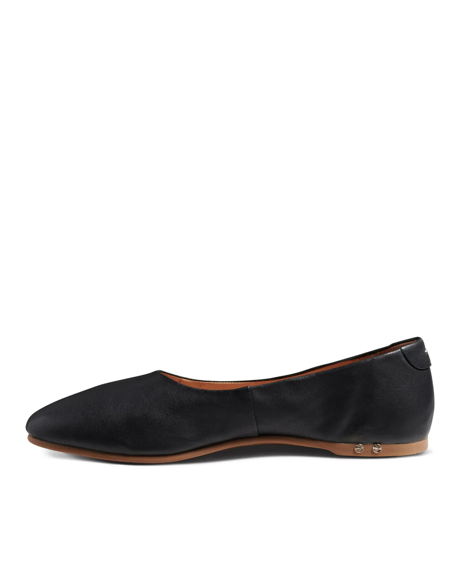 Swiftlet in Black - Image 3