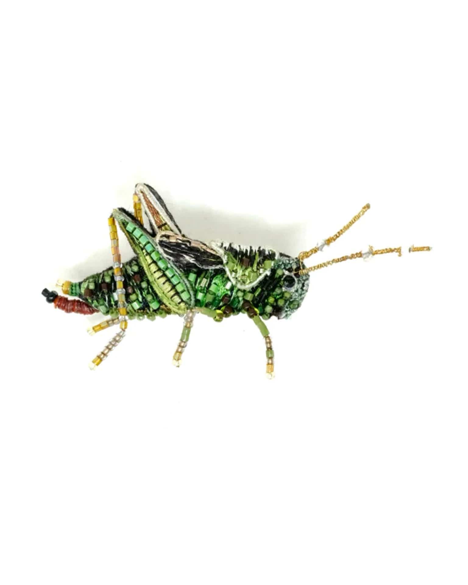 Two Striped Grasshopper Brooch Pin