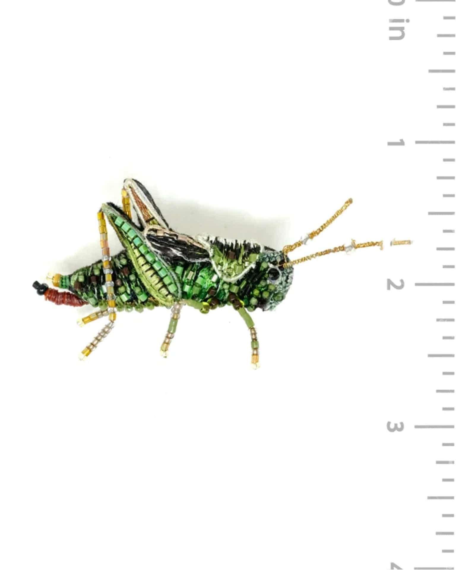 Two Striped Grasshopper Brooch Pin - Image 3